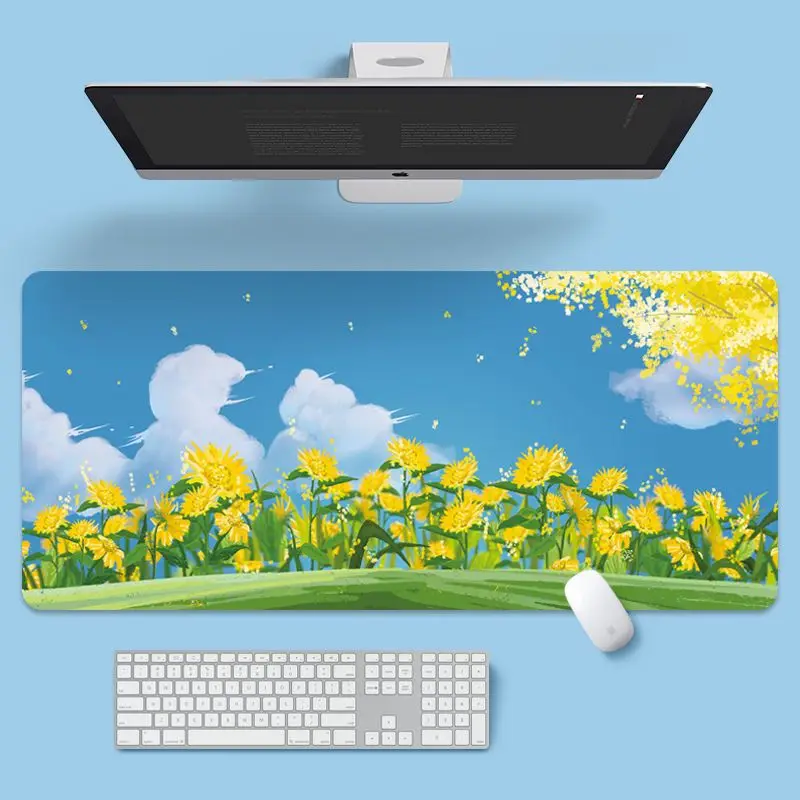 Tapis de clavier mignon 800x30 - Laptop Mouse avis et prix